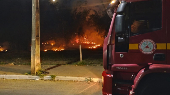 Minas registra 1.429 incêndios em vegetação nos primeiros 11 dias de agosto